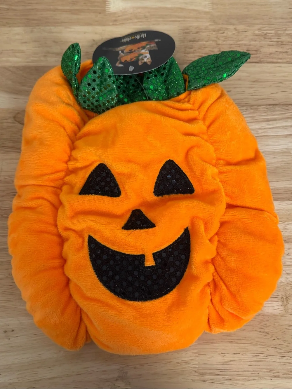 Dog‎ Cat Pumpkin Halloween Costume